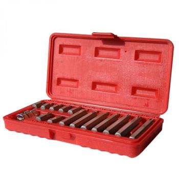 Juego de 15 Puntas Torx T20 A T55 - Crossmaster